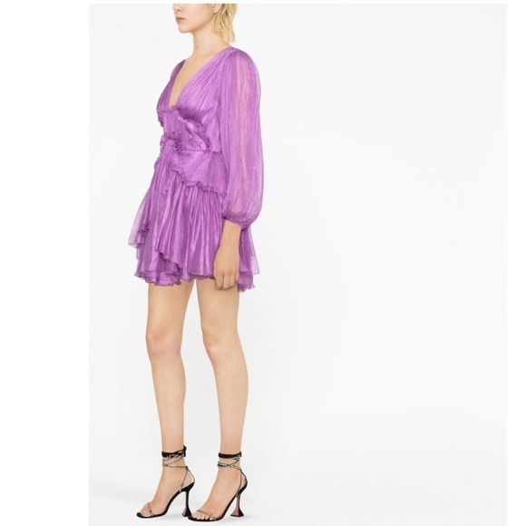 NWT Maria Lucia Hohan Alara Ruffled Minidress - Picture 5 of 16